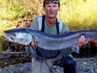 Sport fishing for Eastern Hucho Taimen, Spotted Amur Pike, Eastern Lenok Trout