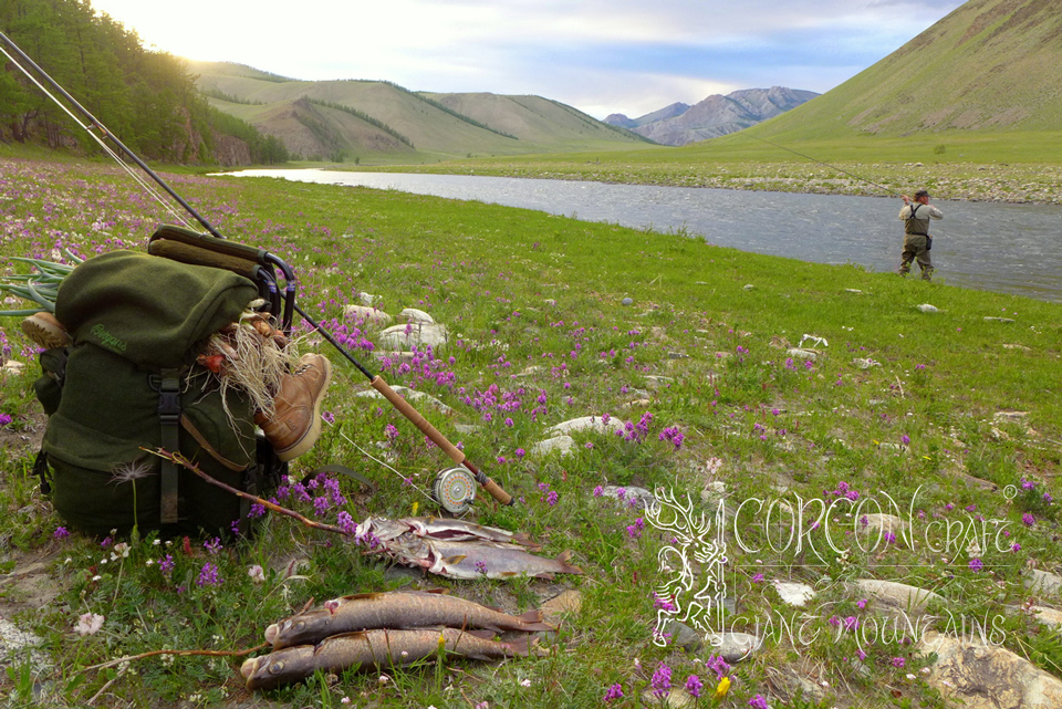 Fly Fishing Taimen in Mongolia