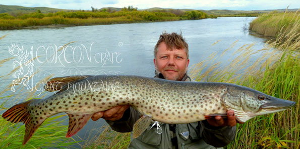 Specialized Taimen Fishing Camps in Mongolia