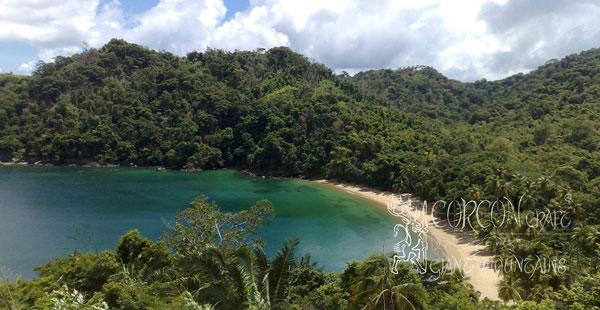 FlyFishing in Tobago