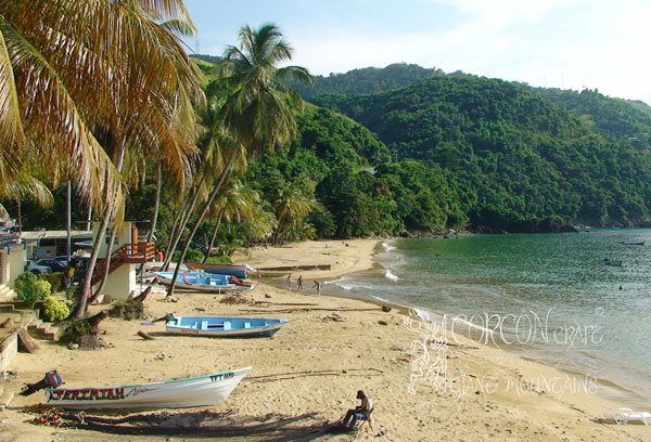 FlyFishing in Tobago