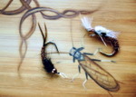 czech nymph - česk&aacute; nymfa